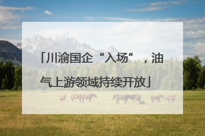川渝国企“入场”，油气上游领域持续开放