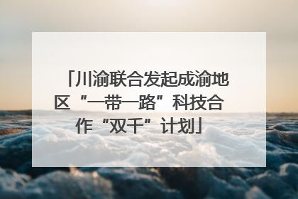 川渝联合发起成渝地区“一带一路”科技合作“双千”计划