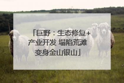 巨野：生态修复+产业开发 塌陷荒滩变身金山银山
