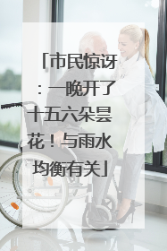 市民惊讶：一晚开了十五六朵昙花！与雨水均衡有关