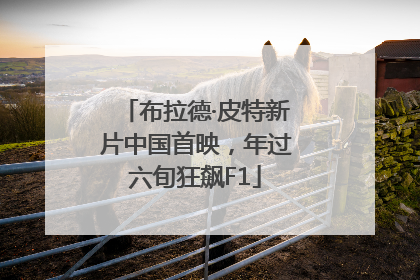 布拉德·皮特新片中国首映，年过六旬狂飙F1