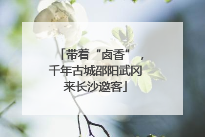带着“卤香”，千年古城邵阳武冈来长沙邀客