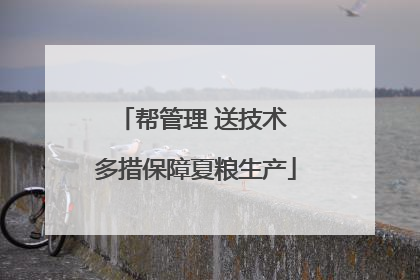 帮管理 送技术 多措保障夏粮生产