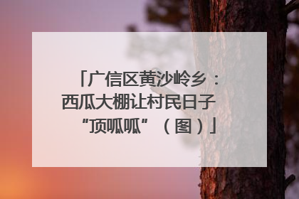 广信区黄沙岭乡：西瓜大棚让村民日子“顶呱呱”（图）