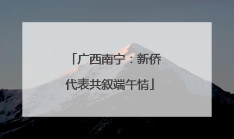 广西南宁：新侨代表共叙端午情