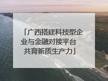 广西搭建科技型企业与金融对接平台 共育新质生产力