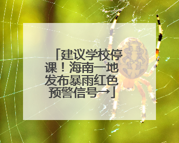 建议学校停课！海南一地发布暴雨红色预警信号→