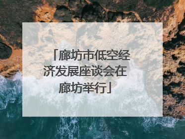 廊坊市低空经济发展座谈会在廊坊举行