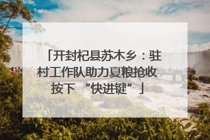 开封杞县苏木乡：驻村工作队助力夏粮抢收按下 “快进键”