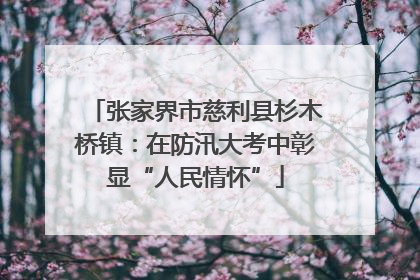 张家界市慈利县杉木桥镇：在防汛大考中彰显“人民情怀”