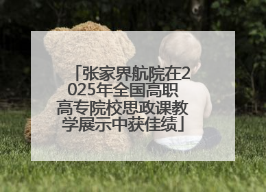 张家界航院在2025年全国高职高专院校思政课教学展示中获佳绩