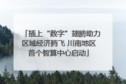 插上“数字”翅膀助力区域经济腾飞 川南地区首个智算中心启动