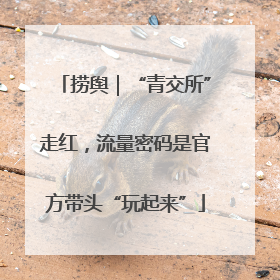 捞舆｜“青交所”走红，流量密码是官方带头“玩起来”