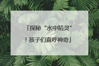 探秘“水中精灵”！孩子们直呼神奇