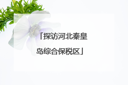探访河北秦皇岛综合保税区
