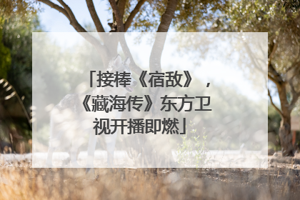 接棒《宿敌》，《藏海传》东方卫视开播即燃