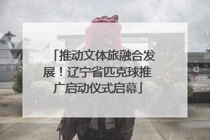 推动文体旅融合发展！辽宁省匹克球推广启动仪式启幕