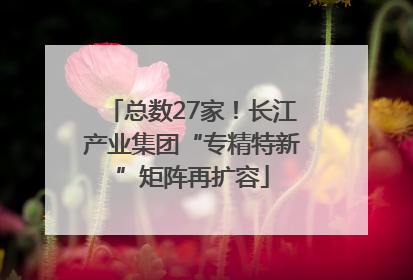 总数27家！长江产业集团“专精特新”矩阵再扩容
