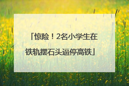 惊险！2名小学生在铁轨摆石头逼停高铁