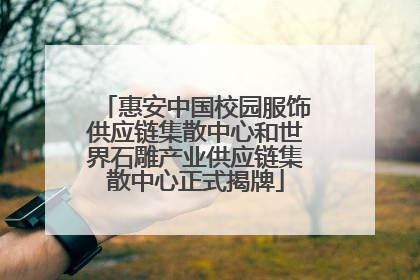 惠安中国校园服饰供应链集散中心和世界石雕产业供应链集散中心正式揭牌