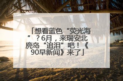 想看蓝色“荧光海”？6月，来瑞安北麂岛“追泪”吧！《90早新闻》来了