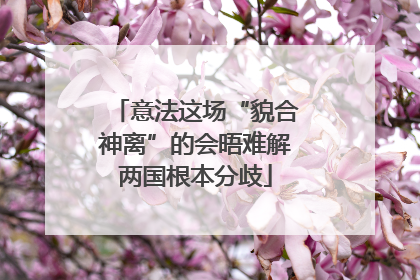 意法这场“貌合神离”的会晤难解两国根本分歧