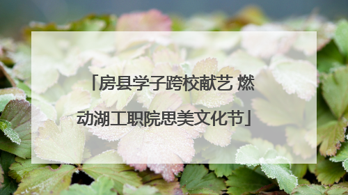 房县学子跨校献艺 燃动湖工职院思美文化节