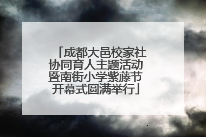 成都大邑校家社协同育人主题活动暨南街小学紫藤节开幕式圆满举行