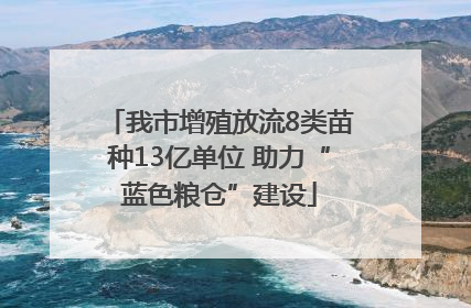 我市增殖放流8类苗种13亿单位 助力“蓝色粮仓”建设