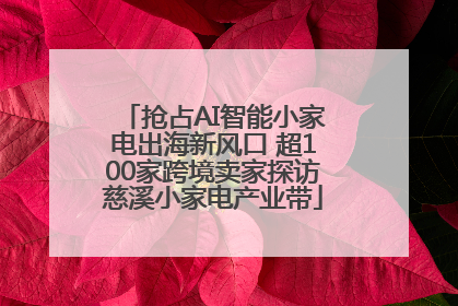 抢占AI智能小家电出海新风口 超100家跨境卖家探访慈溪小家电产业带