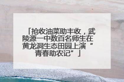 抢收油菜助丰收，武陵源一中数百名师生在黄龙洞生态田园上演“青春助农记”