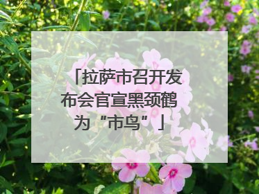 拉萨市召开发布会官宣黑颈鹤为“市鸟”