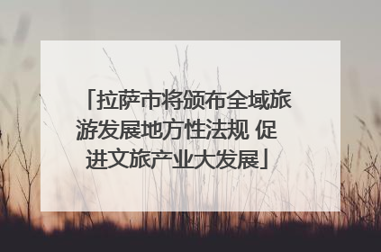 拉萨市将颁布全域旅游发展地方性法规 促进文旅产业大发展