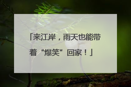 来江岸，雨天也能带着“爆笑”回家！
