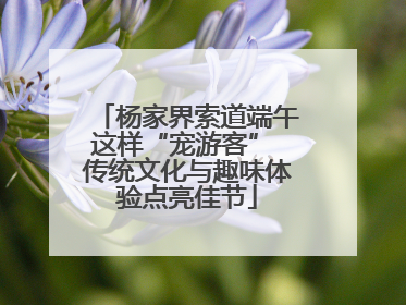 杨家界索道端午这样“宠游客” 传统文化与趣味体验点亮佳节