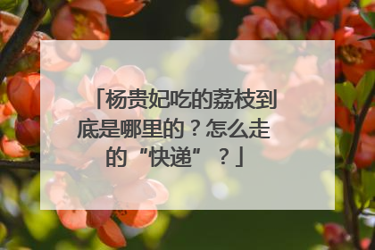杨贵妃吃的荔枝到底是哪里的？怎么走的“快递”？