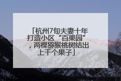 杭州7旬夫妻十年打造小区“百果园”，两棵猕猴桃树结出上千个果子