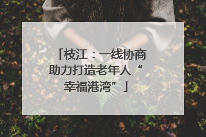 枝江：一线协商助力打造老年人“幸福港湾”