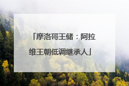 摩洛哥王储：阿拉维王朝低调继承人