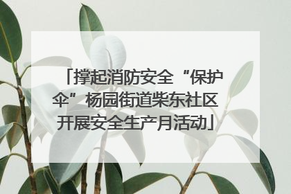 撑起消防安全“保护伞”杨园街道柴东社区开展安全生产月活动