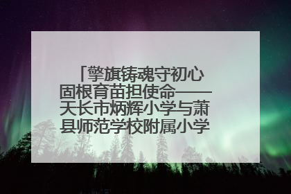 擎旗铸魂守初心 固根育苗担使命——天长市炳辉小学与萧县师范学校附属小学结对共建活动纪实