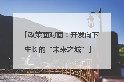 政策面对面：开发向下生长的“未来之城”