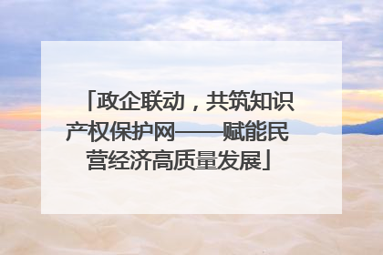 政企联动，共筑知识产权保护网——赋能民营经济高质量发展