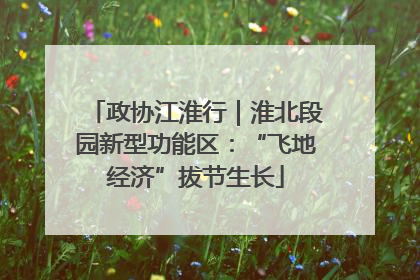 政协江淮行｜淮北段园新型功能区：“飞地经济”拔节生长