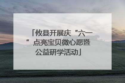 攸县开展庆“六一”点亮宝贝微心愿暨公益研学活动