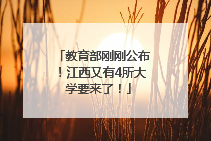 教育部刚刚公布！江西又有4所大学要来了！