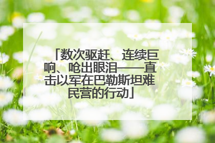 数次驱赶、连续巨响、呛出眼泪——直击以军在巴勒斯坦难民营的行动