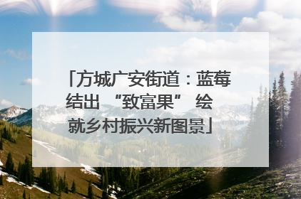 方城广安街道：蓝莓结出 “致富果” 绘就乡村振兴新图景