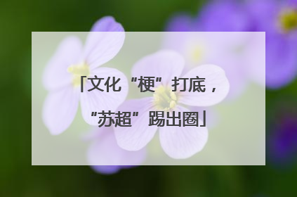 文化“梗”打底，“苏超”踢出圈