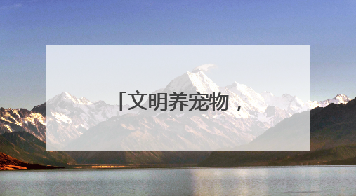 文明养宠物,蔚然树新风